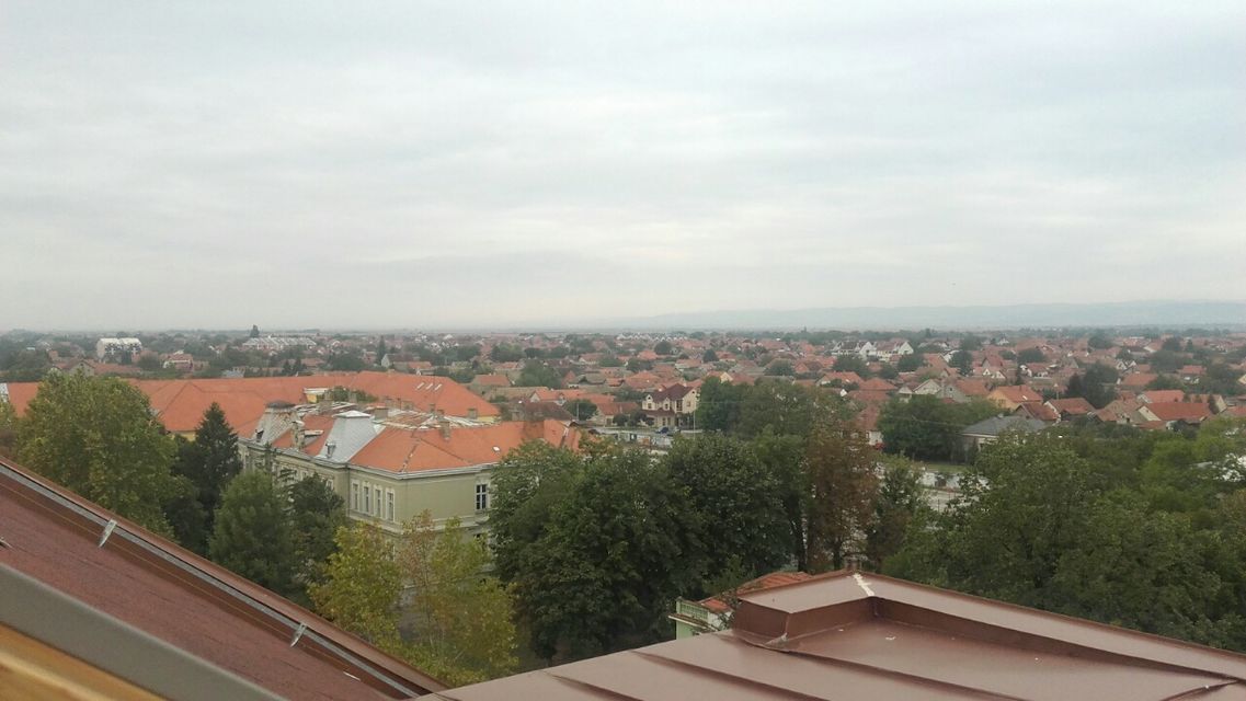 Glavna 98, Ruma - 19