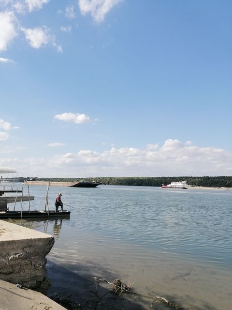 Despota Đurđa 8, Seone