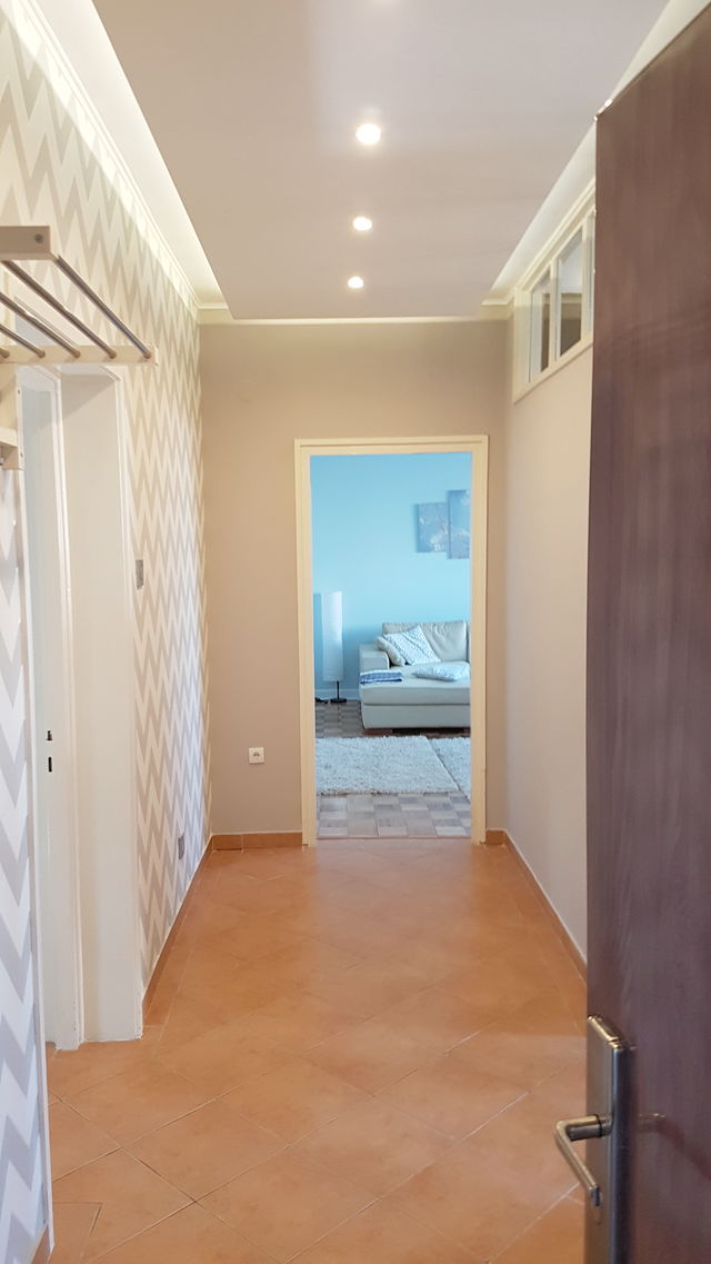 Stevana Milovanova 8, Novi Sad - 3