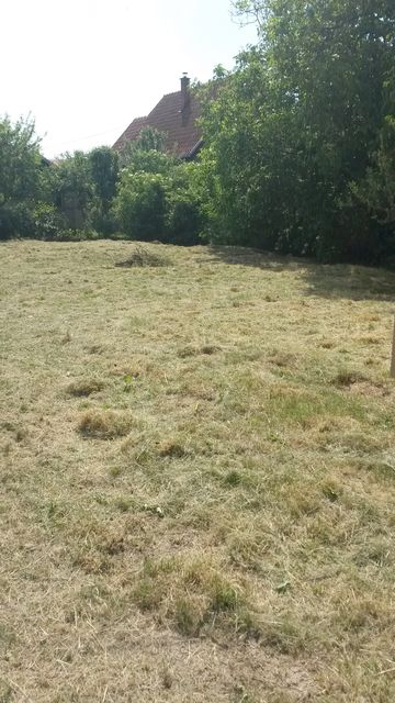 Popova bara nova 307 1, Beograd - 8