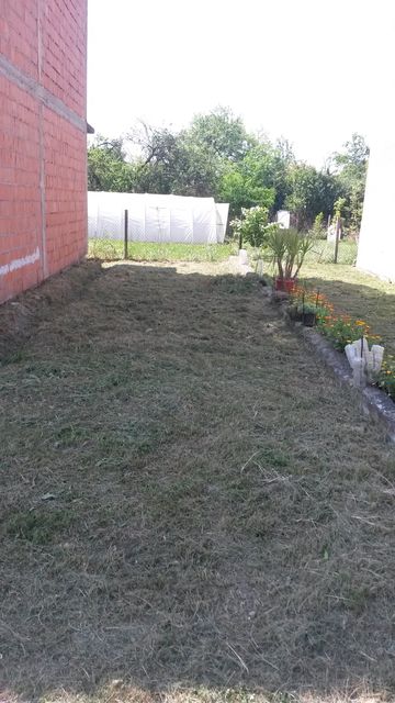 Popova bara nova 307 1, Beograd - 4