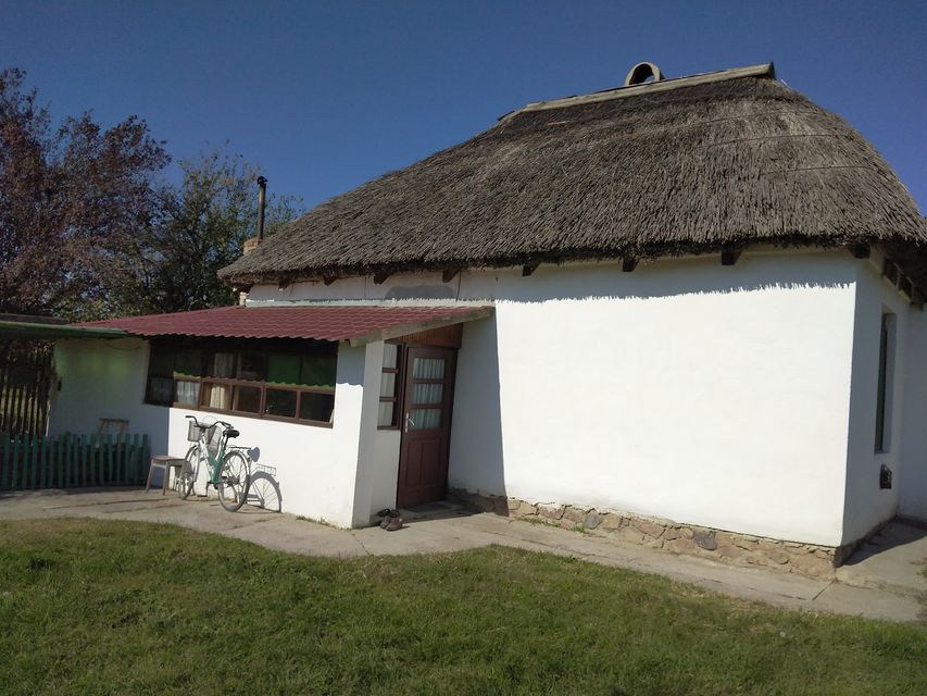 Ilije Nešina bb-1, Kovilj - 3