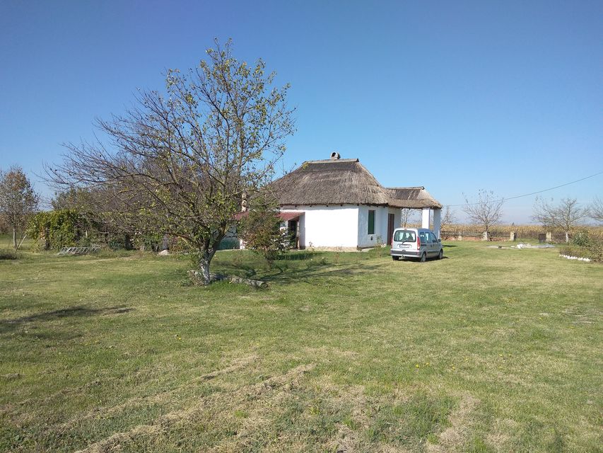 Ilije Nešina bb-1, Kovilj - 2