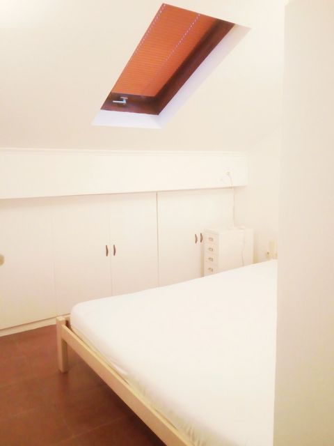 Bačka 29, Beograd - 4