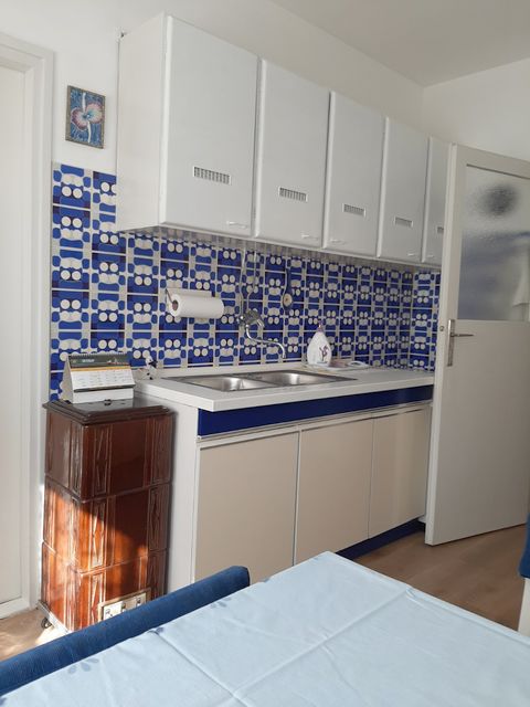 Borska 17, Beograd - 6