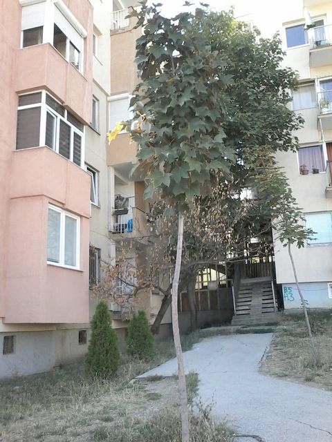 Sunčani blok 5, Priština - 2