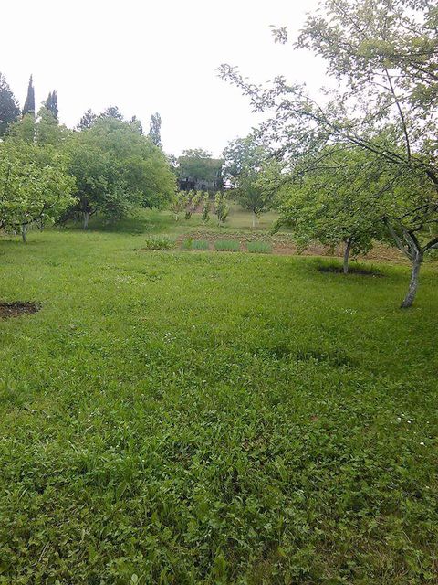 Provalije bb-1, Bukovac - 4