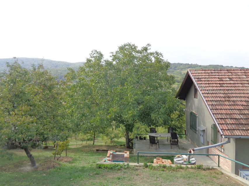 Provalije bb-1, Bukovac - 7