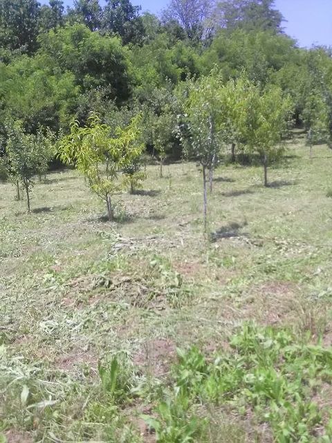 Hilandarska 9a, Lapovo - 2