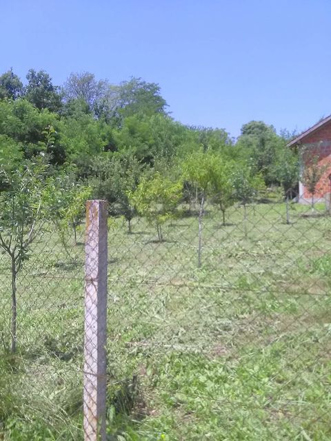 Hilandarska 9a, Lapovo - 5