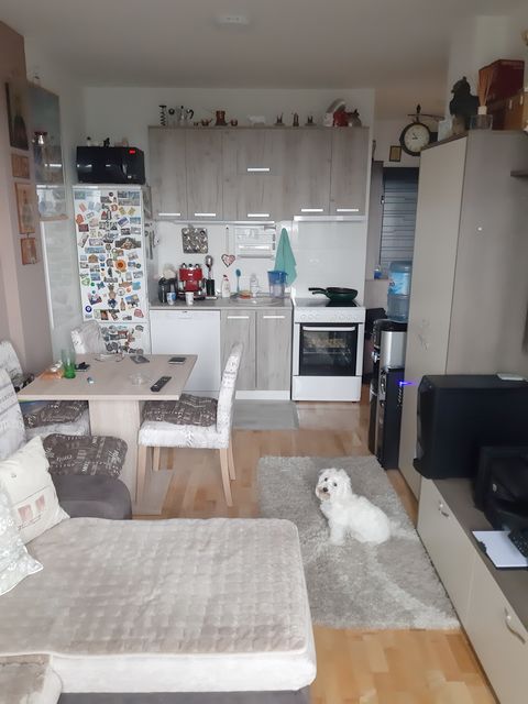 Kralja Petra I Karađorđevića 44, Nova Pazova - 3