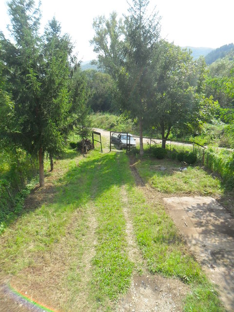 Prva Kutina bb-1, Niška Banja - 3