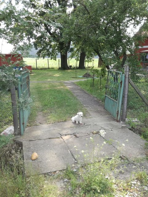 Svetozara Stanojevića-Peka 100, Stubline - 4