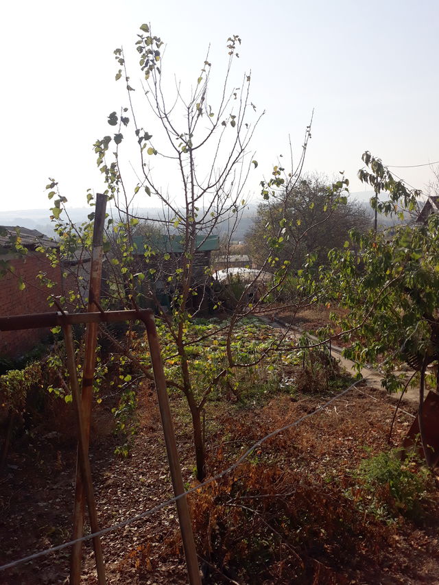 Beogradska 145, Vrčin - 4