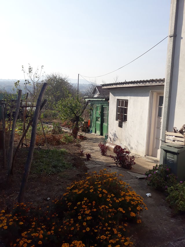 Beogradska 145, Vrčin - 5