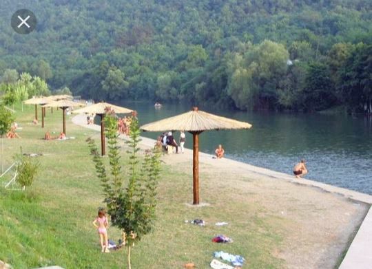 Njegoševa 17, Vlasotince - 1