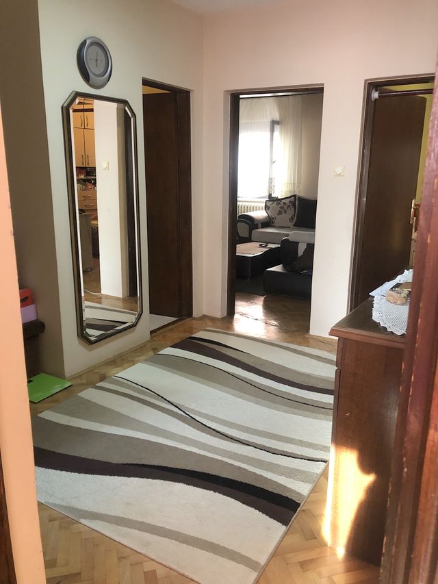 Žikina 19, Beograd - 7