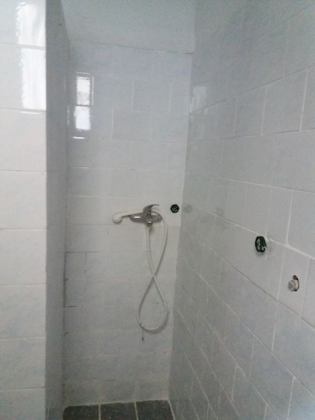 Spoljnostarčevačka 67, Pančevo - 4