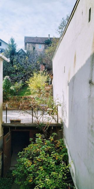 Patrijarha Rajačića 19, Sremski Karlovci - 3