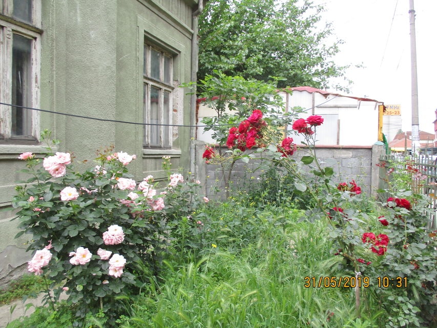 Jug Bogdanova 9, Jagodina - 3