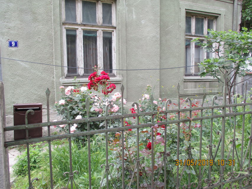 Jug Bogdanova 9, Jagodina - 4