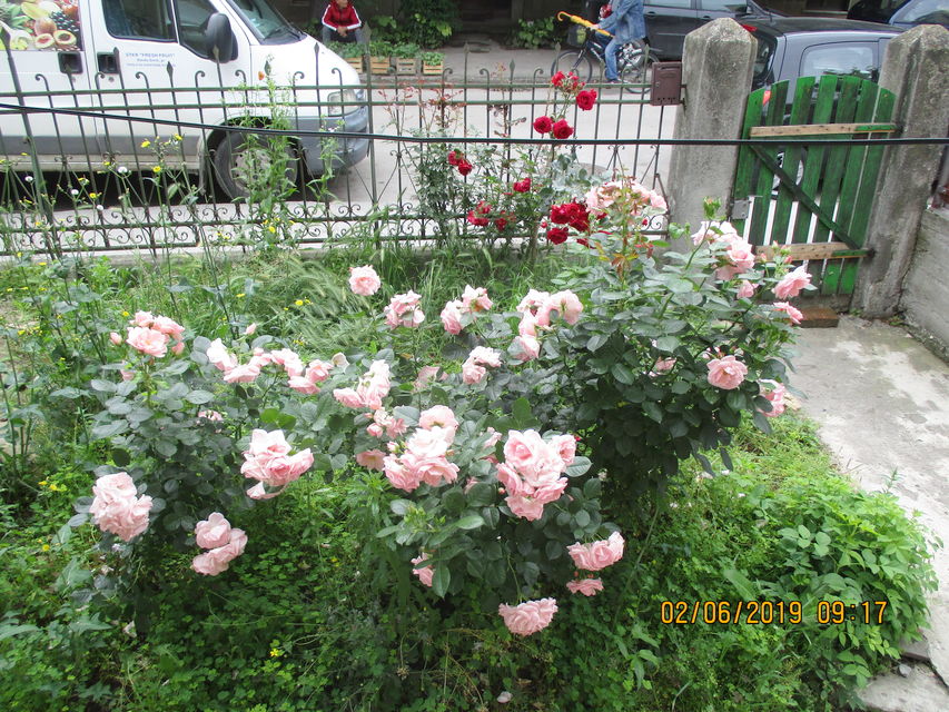 Jug Bogdanova 9, Jagodina - 6