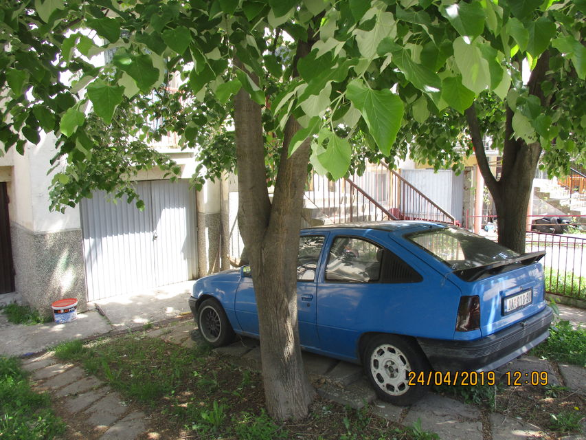 Omladinskih brigada 21, Jagodina - 13