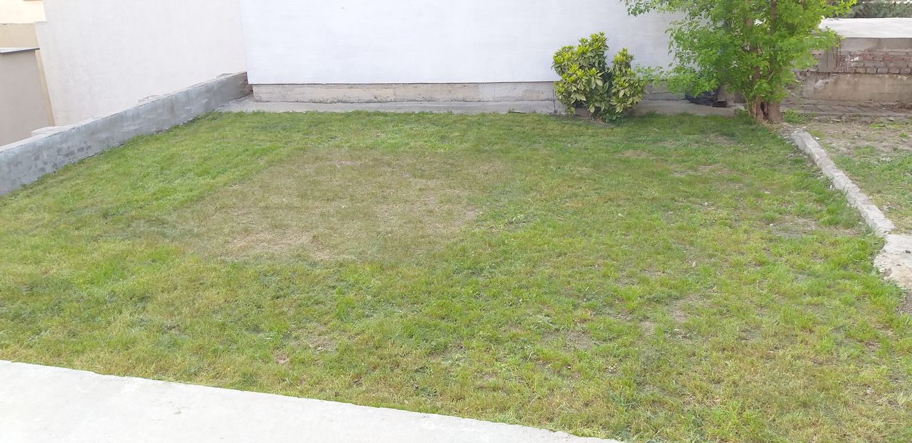 Trnavska 13, Beograd - 6