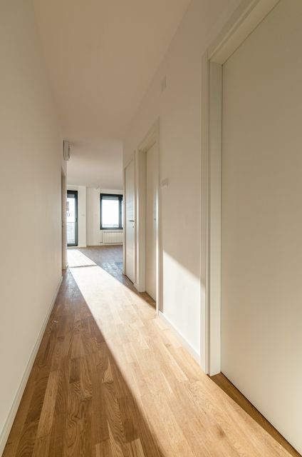 Živka Davidovića 67, Beograd - 13