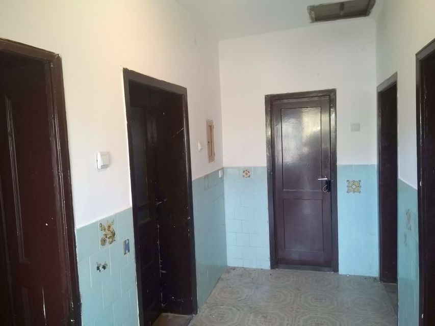 Borivoja Ivankovića 12, Manić - 5