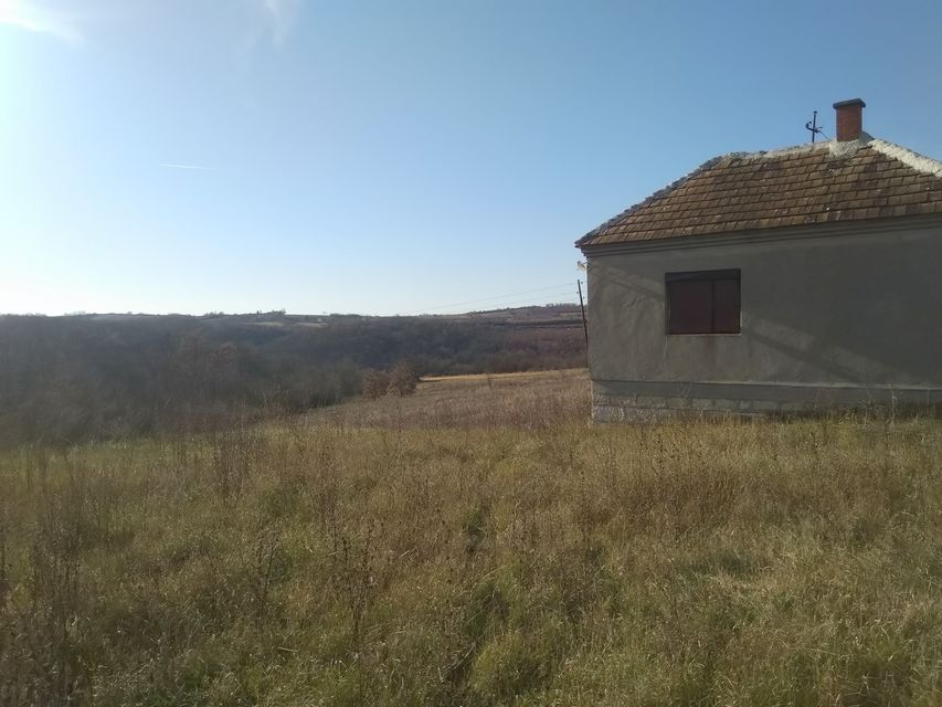 Borivoja Ivankovića 12, Manić - 4