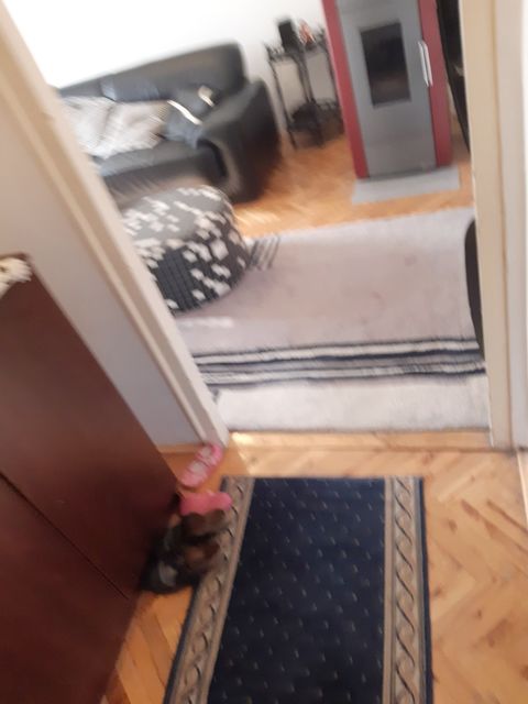 Kumodraška 60, Beograd - 4