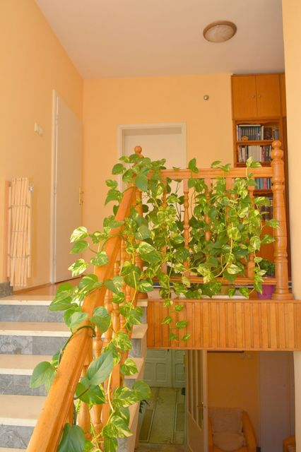 Gavrila Principa 31, Vršac - 8