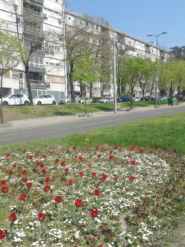 Ustanička 169, Beograd - 8