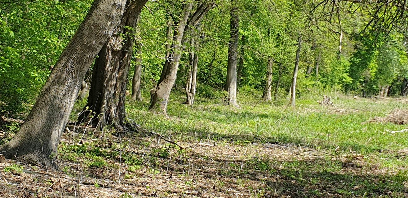 Maršala Tita 69, Skobalj - 8