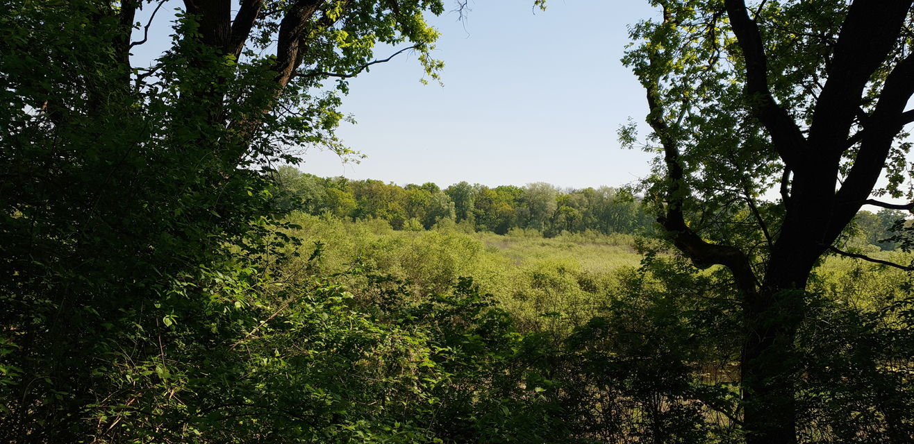 Maršala Tita 69, Skobalj - 7