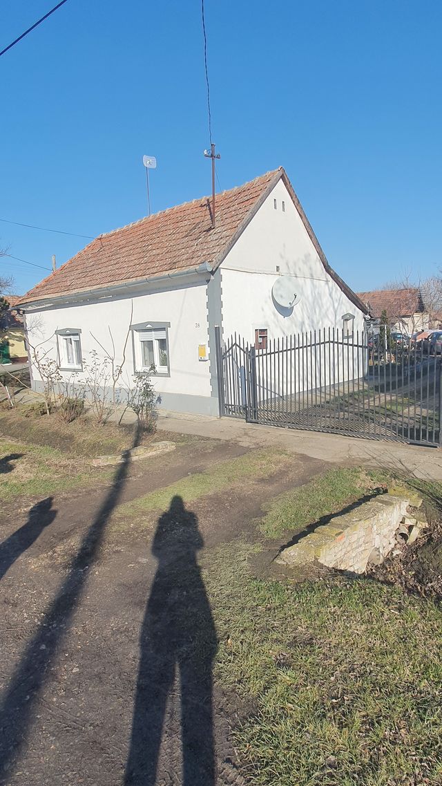 Ive lole Ribara 38, Vrbica - 9