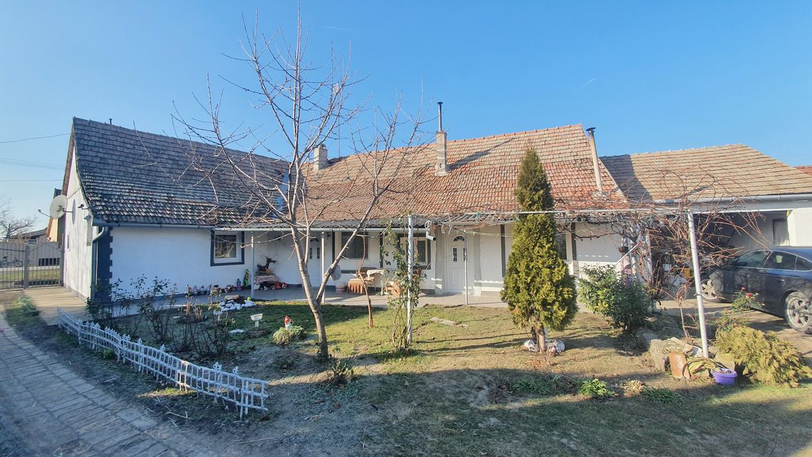 Ive lole Ribara 38, Vrbica