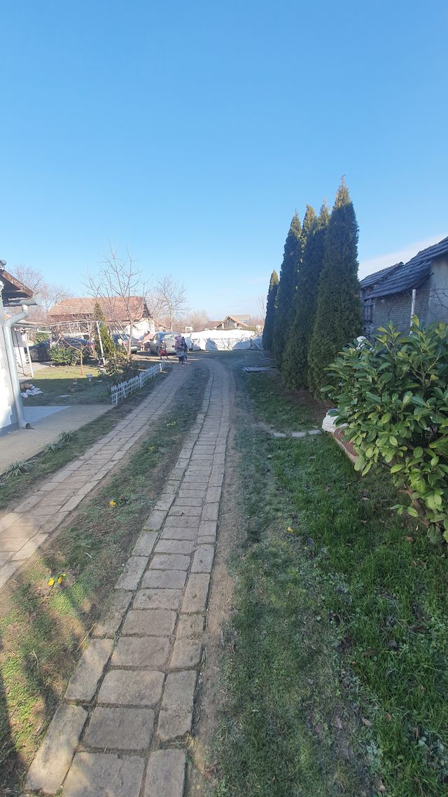 Ive lole Ribara 38, Vrbica - 13