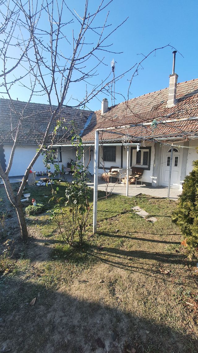 Ive lole Ribara 38, Vrbica - 2