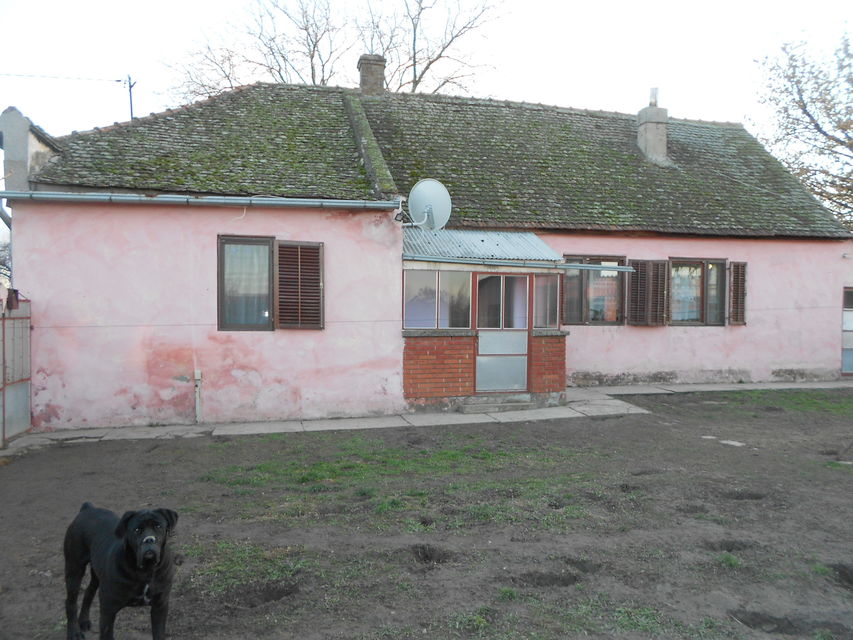 Nikole Tesle 40, Đurđevo - 3