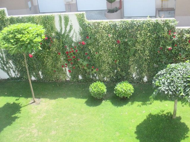 Miloja Đaka 19, Beograd - 11