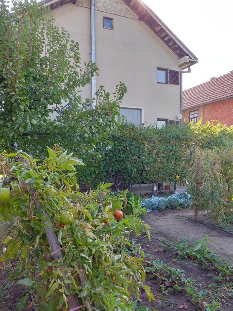 Zagorska 7, Zaječar - 6