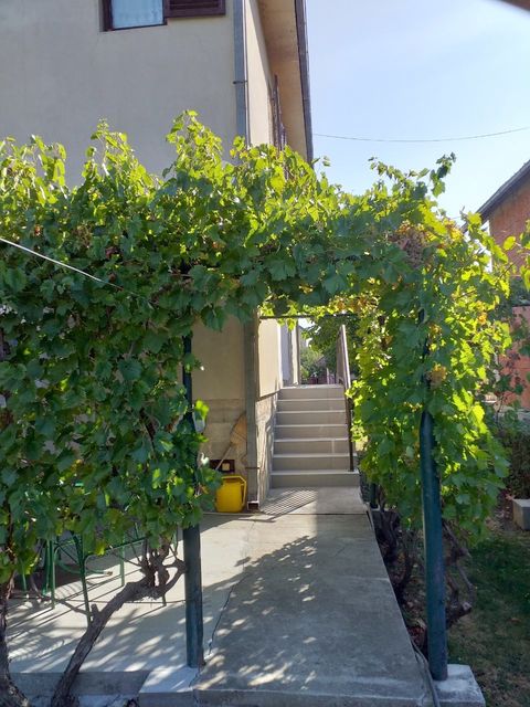 Zagorska 7, Zaječar - 4