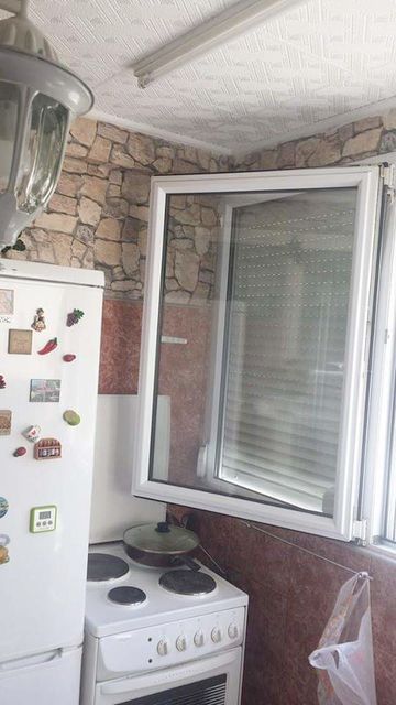 Rasadnik 1, Bela Crkva - 7