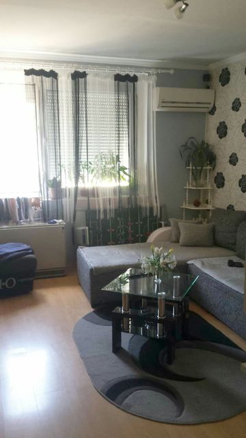 Rasadnik 1, Bela Crkva - 2