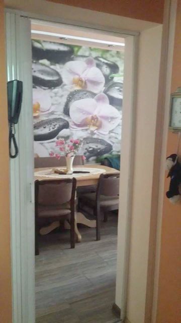 Rasadnik 1, Bela Crkva - 6