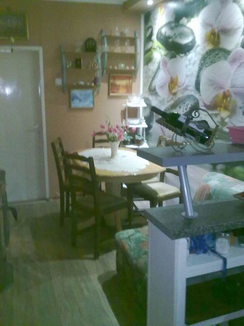 Rasadnik 1, Bela Crkva - 1