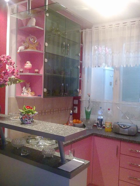 Rasadnik 1, Bela Crkva - 3