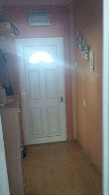 Rasadnik 1, Bela Crkva - 9